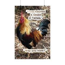 Load image into Gallery viewer, Tampa Native Rooster Poster
